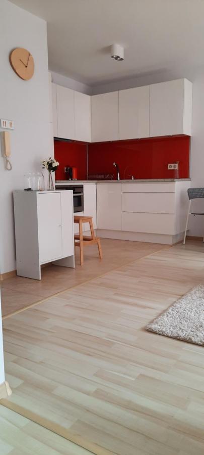 Apartment Centrum Przy Parku Zdrojowym Naleczow